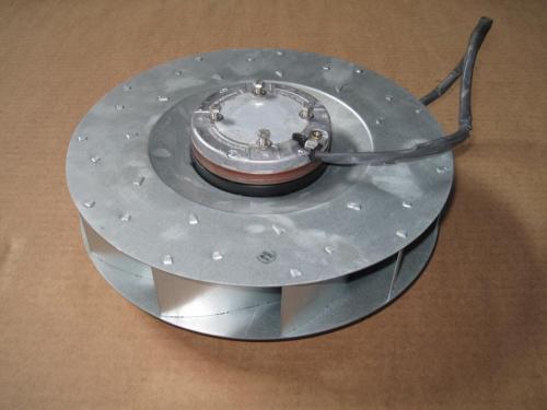 23172566.jpg