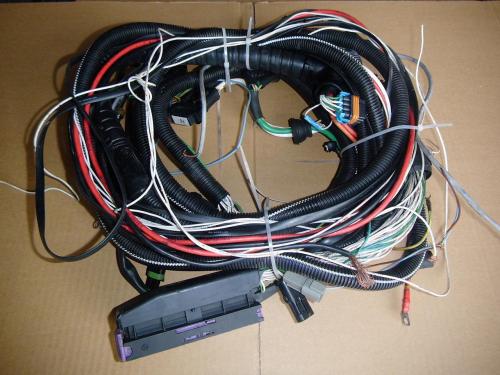 25687754.jpg