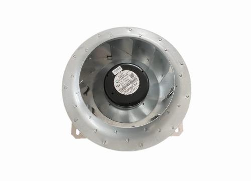 540055400.jpg