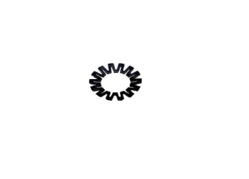 559959.jpg