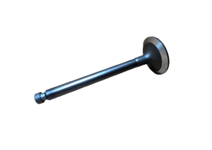 Intake valve head Yanmar TK 3.95 Thermo King ; 11-8788 replacement