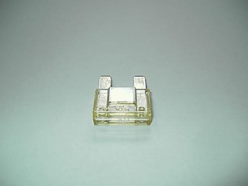 8962431.jpg