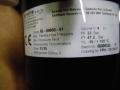 IMG_0003.JPG